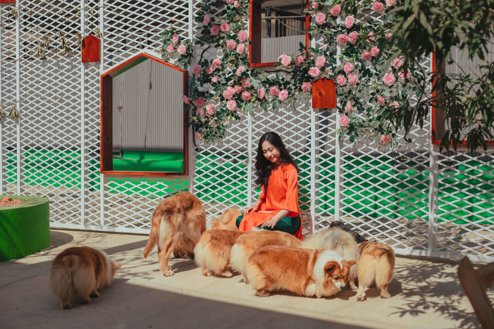 Cảnh quan Nông Trại Cún