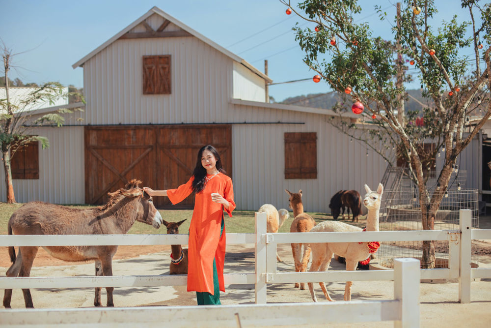 Vườn hoa Puppy Farm