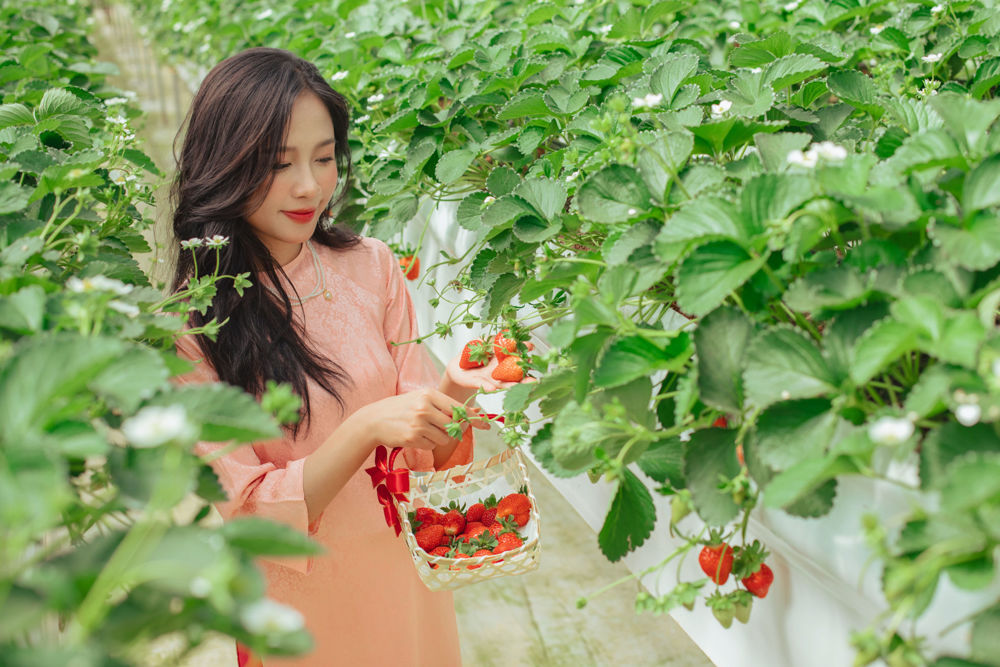 Hoạt động tại Nông Trại Cún